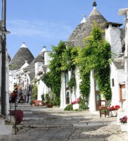 /album/la-vida-una-magnifica/calle-en-alberobello-italia-jpg/
